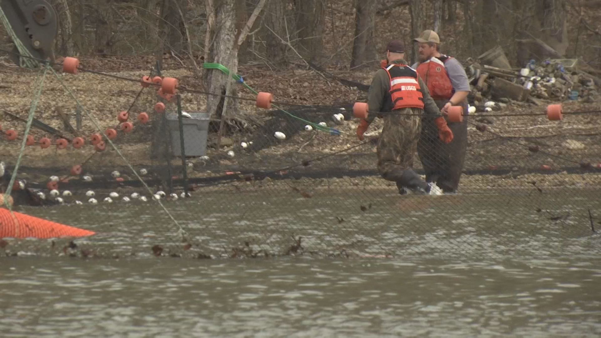 asian carp method 6.jpg